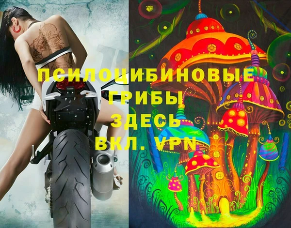 ешки Алексин